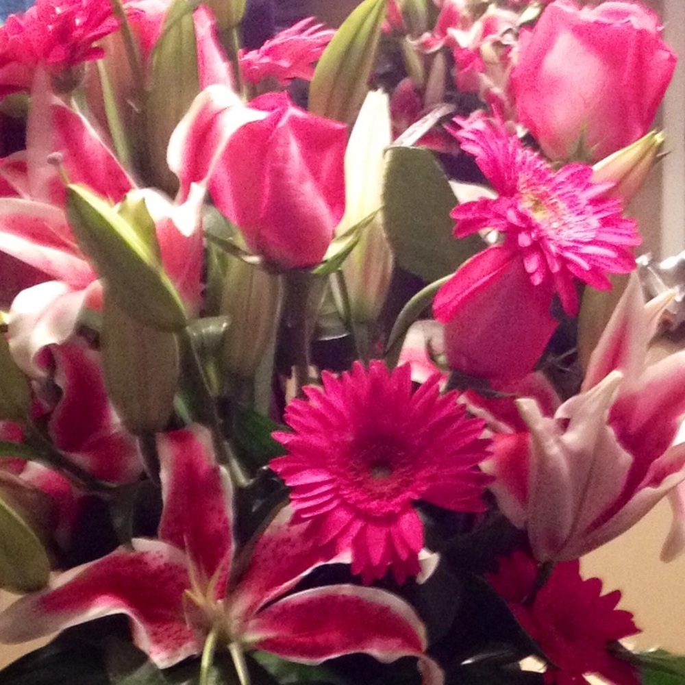 Meet your Posher, Tina